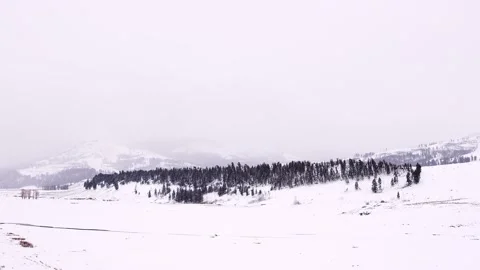 Snowy Yellowstone Landscape Stock-Footage 202053086