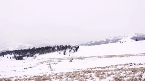 Snowy Yellowstone Landscape Stock-Footage 202053099