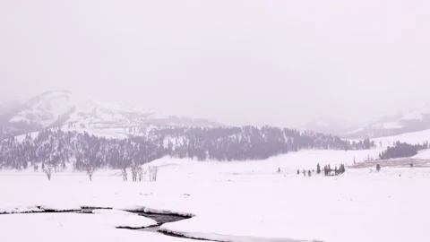 Snowy Yellowstone Landscape Stock-Footage 202053101