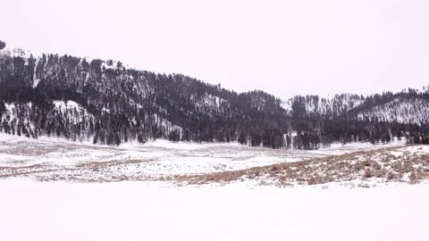 Snowy Yellowstone Landscape Stock-Footage 202053123