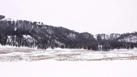 Snowy Yellowstone Landscape Stock-Footage 202053130