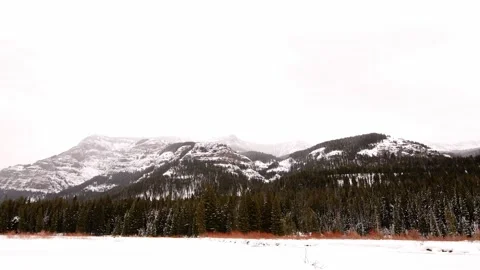 Snowy Yellowstone Landscape Stock-Footage 202053327
