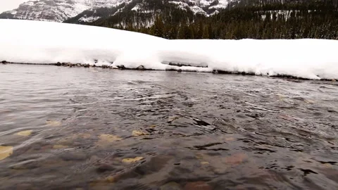 Snowy Yellowstone Landscape Stock-Footage 202053379