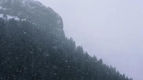 Snowy Yellowstone Landscape Stock-Footage 202055780