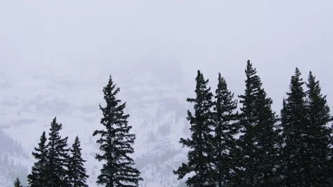 Snowy Yellowstone Landscape Stock-Footage 202055837
