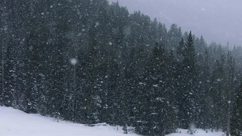 Snowy Yellowstone Landscape Stock-Footage 202055841