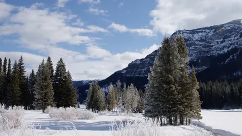 Snowy Yellowstone Landscape Stock-Footage 202058355