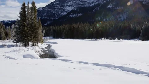 Snowy Yellowstone Landscape Stock-Footage 202058460