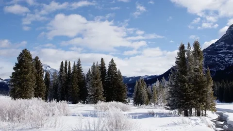 Snowy Yellowstone Landscape Stock-Footage 202058479
