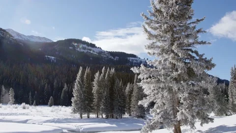 Snowy Yellowstone Landscape Stock-Footage 202058755