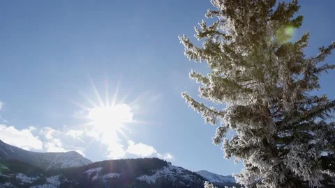 Snowy Yellowstone Landscape Stock-Footage 202059167
