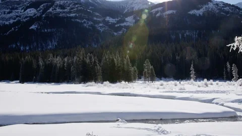 Snowy Yellowstone Landscape Stock-Footage 202059748