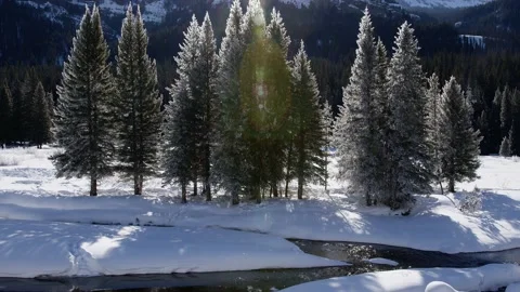 Snowy Yellowstone Landscape Stock-Footage 202059816