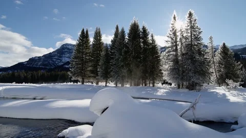 Snowy Yellowstone Landscape Stock-Footage 202061012