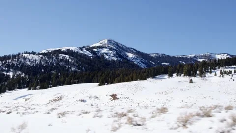 Snowy Yellowstone Landscape Stock-Footage 202062845