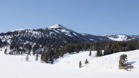 Snowy Yellowstone Landscape Stock-Footage 202063036