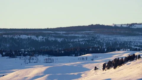 Snowy Yellowstone Landscape Stock-Footage 202064826