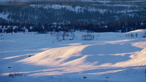Snowy Yellowstone Landscape Stock-Footage 202064898