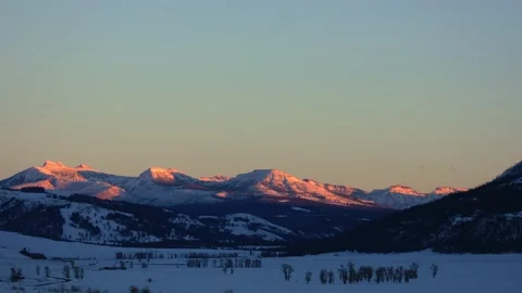 Snowy Yellowstone Landscape Stock-Footage 202065312