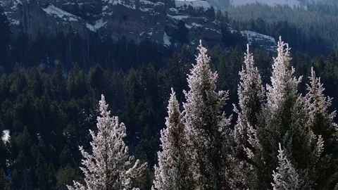 Snowy Yellowstone Landscape Stock-Footage 202065917