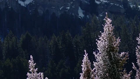 Snowy Yellowstone Landscape Stock-Footage 202066102