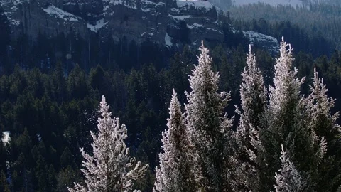 Snowy Yellowstone Landscape Stock-Footage 202066313