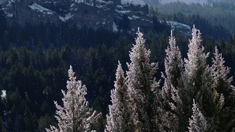 Snowy Yellowstone Landscape Stock-Footage 202066480