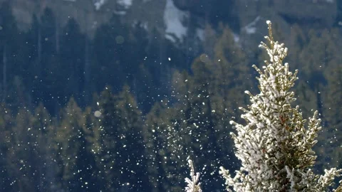 Snowy Yellowstone Landscape Stock-Footage 202067010