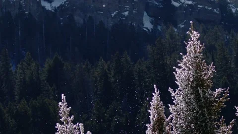 Snowy Yellowstone Landscape Stock-Footage 202067289