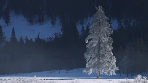 Snowy Yellowstone Landscape Stock-Footage 202067347