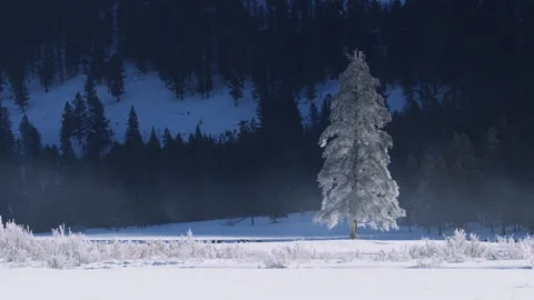 Snowy Yellowstone Landscape Stock-Footage 202067367