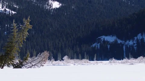 Snowy Yellowstone Landscape Stock-Footage 202067598