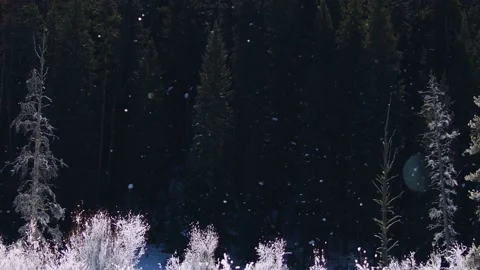 Snowy Yellowstone Landscape Stock-Footage 202067712
