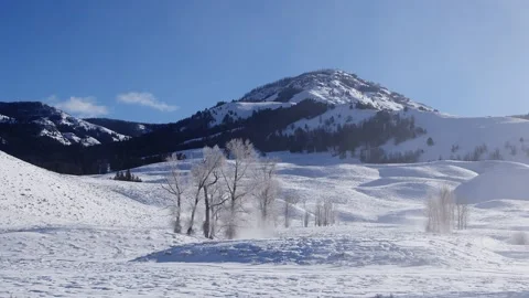 Snowy Yellowstone Landscape Stock-Footage 202067880