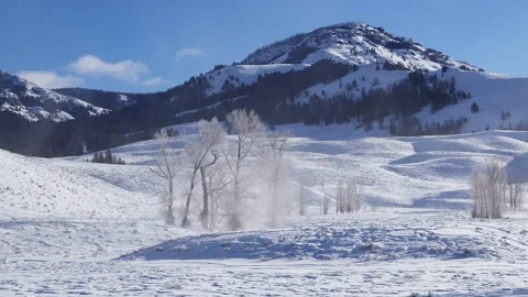 Snowy Yellowstone Landscape Stock-Footage 202067917