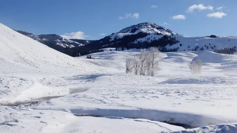 Snowy Yellowstone Landscape Stock-Footage 202068049