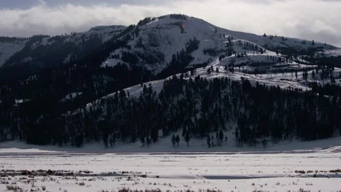 Snowy Yellowstone Landscape Stock-Footage 202068701