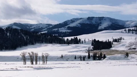 Snowy Yellowstone Landscape Stock-Footage 202068964