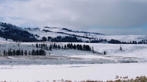 Snowy Yellowstone Landscape Stock-Footage 202069119