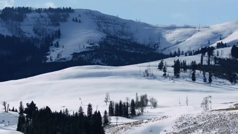 Snowy Yellowstone Landscape Stock-Footage 202069239