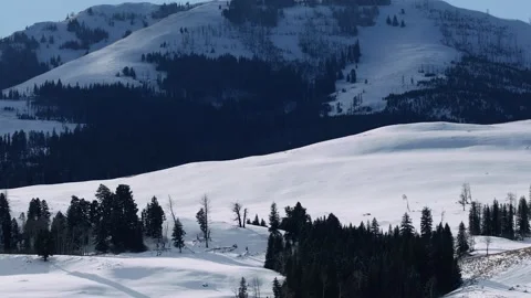 Snowy Yellowstone Landscape Stock-Footage 202069273