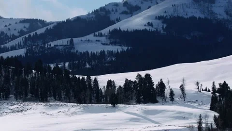 Snowy Yellowstone Landscape Stock-Footage 202069379