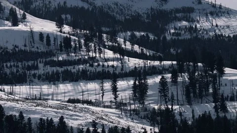 Snowy Yellowstone Landscape Stock-Footage 202069489
