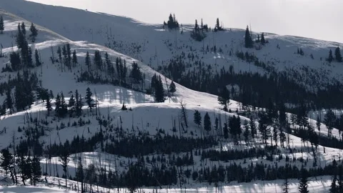 Snowy Yellowstone Landscape Stock-Footage 202069573