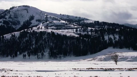 Snowy Yellowstone Landscape Stock-Footage 202069830
