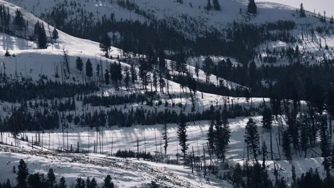 Snowy Yellowstone Landscape Stock-Footage 202070478