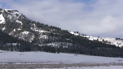 Snowy Yellowstone Landscape Stock-Footage 202093293
