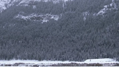 Snowy Yellowstone Landscape Stock-Footage 202093629