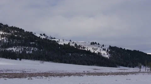 Snowy Yellowstone Landscape Stock-Footage 202095226