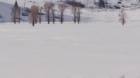 Snowy Yellowstone Landscape Stock-Footage 202095666